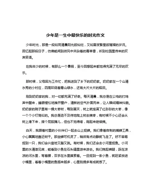 少年是一生中最快乐的时光作文