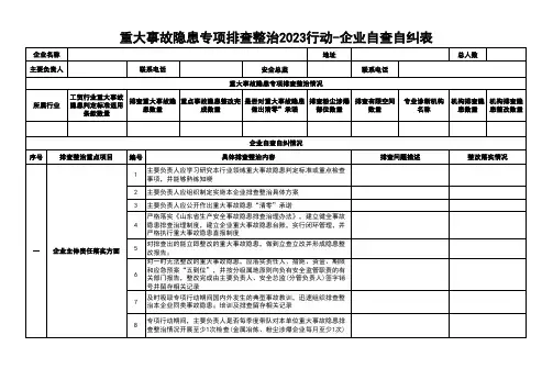重大事故隐患专项排查整治2023行动-企业自查自纠表