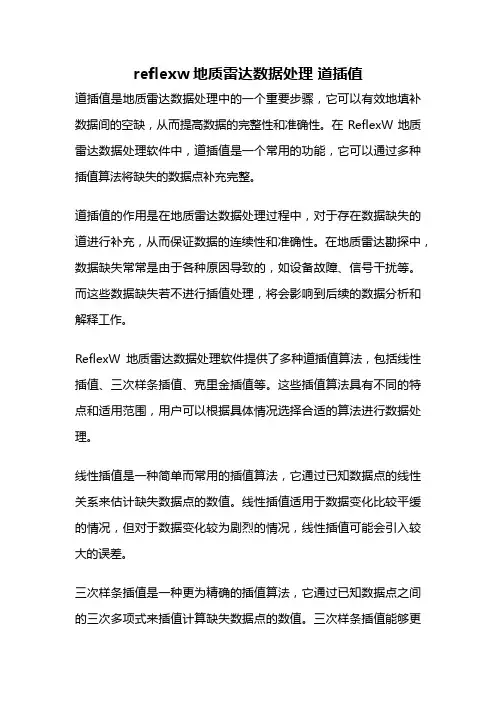 reflexw地质雷达数据处理 道插值