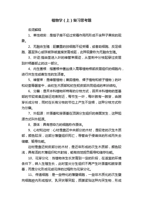植物学（上）复习思考题