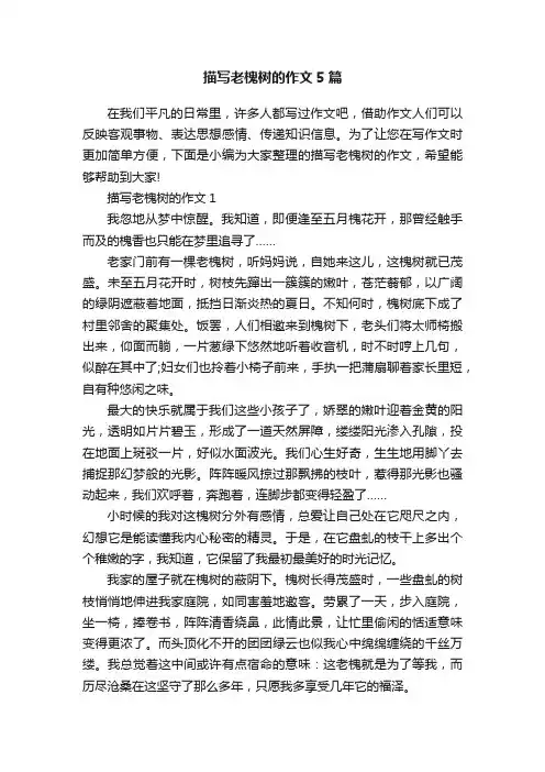 描写老槐树的作文5篇