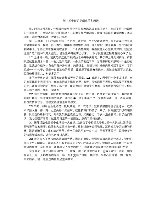 刚上初中新的见闻感受和想法