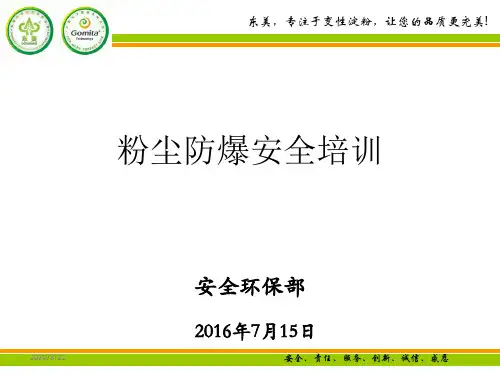 粉尘防爆安全培训(2016年)PPT课件