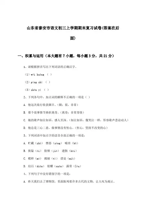 山东省泰安市初三上学期期末语文试卷与参考答案