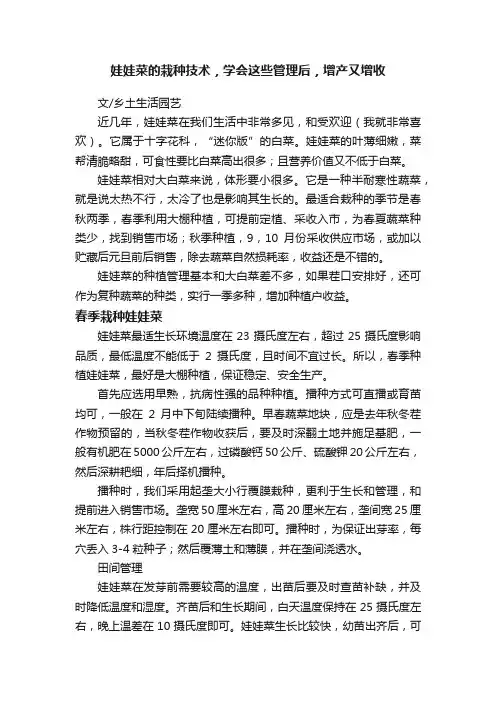 娃娃菜的栽种技术，学会这些管理后，增产又增收