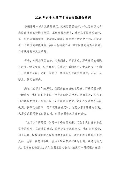 2024年大学生三下乡社会实践报告范例（五篇）
