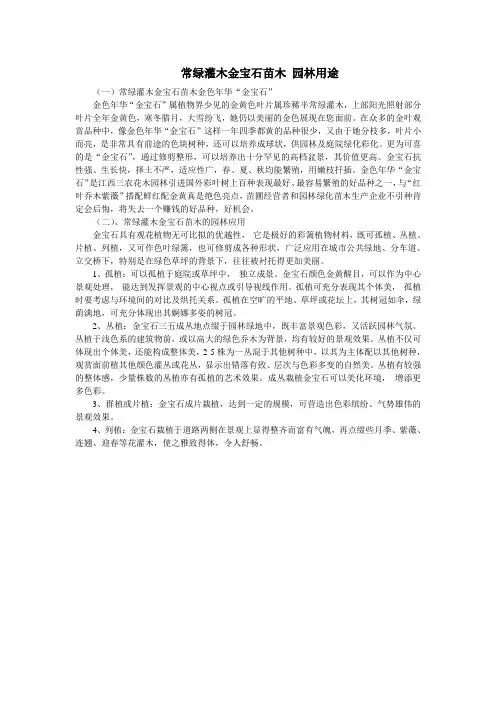 常绿灌木金宝石苗木_园林用途