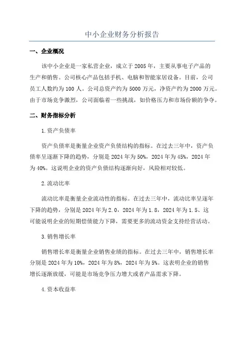 中小企业财务分析报告