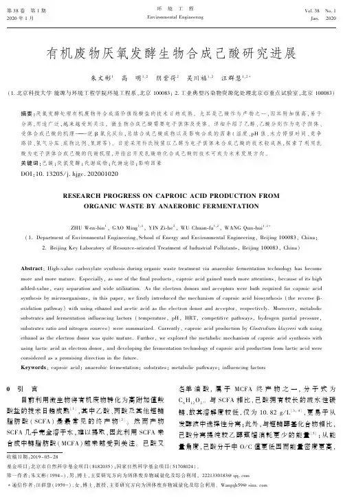 有机废物厌氧发酵生物合成已酸研究进展