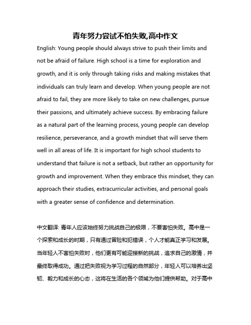 青年努力尝试不怕失败,高中作文