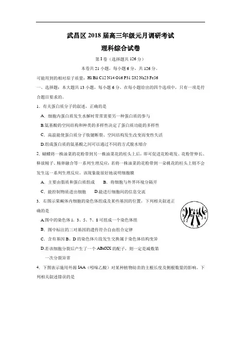 湖北省武汉市武昌区2018届高三元月调研理综试题 word版