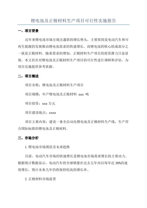 锂电池及正极材料生产项目可行性实施报告