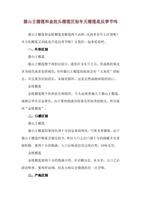 猫山王榴莲和金枕头榴莲区别 冬天榴莲是反季节吗