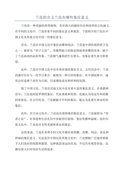 兰花的含义兰花有哪些象征意义