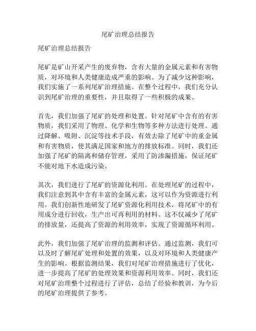 尾矿治理总结报告
