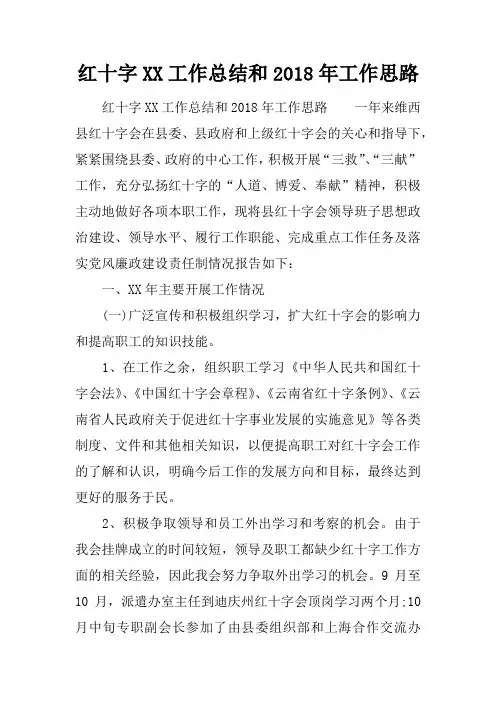 红十字工作总结和2018年工作思路