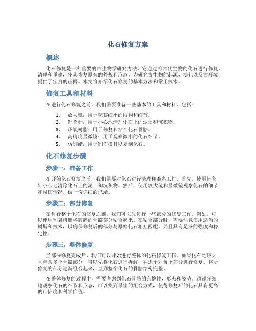 化石修复方案