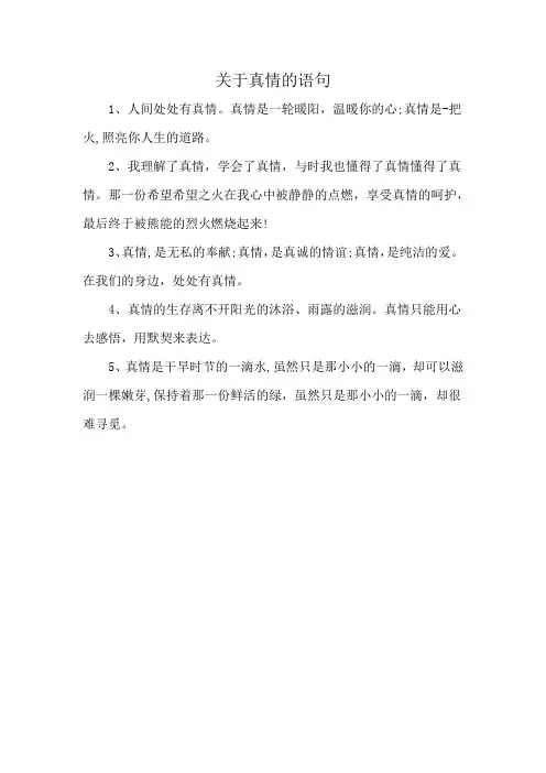 关于真情的语句
