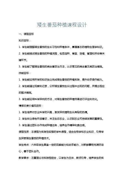 矮生番茄种植课程设计