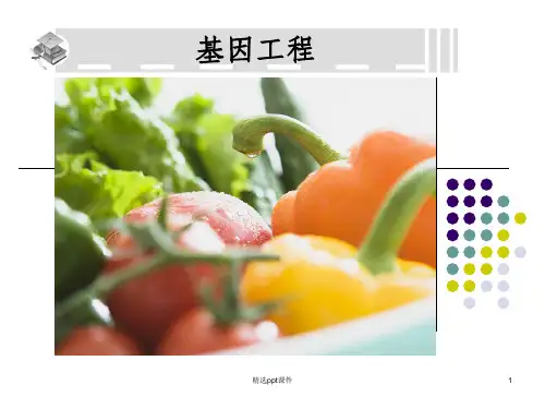人教版高中生物选修3全套课件ppt课件