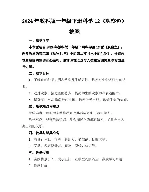 2024年教科版一年级下册科学12《观察鱼》教案