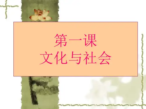 高三政治复习课件 文化生活 第一课 文化与社会