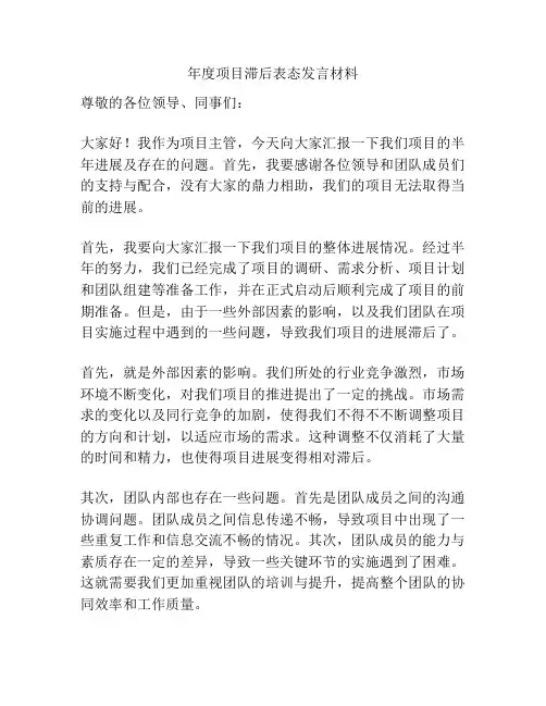 年度项目滞后表态发言材料