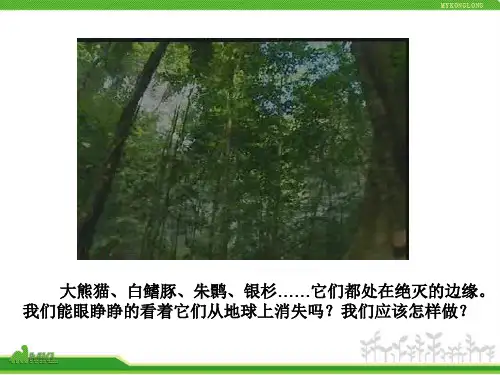 尝试对生物进行分类 公开课一等奖课件PPT