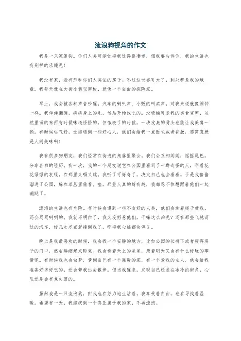 流浪狗视角的作文