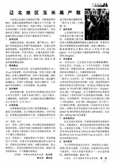 辽北地区玉米高产栽培技术