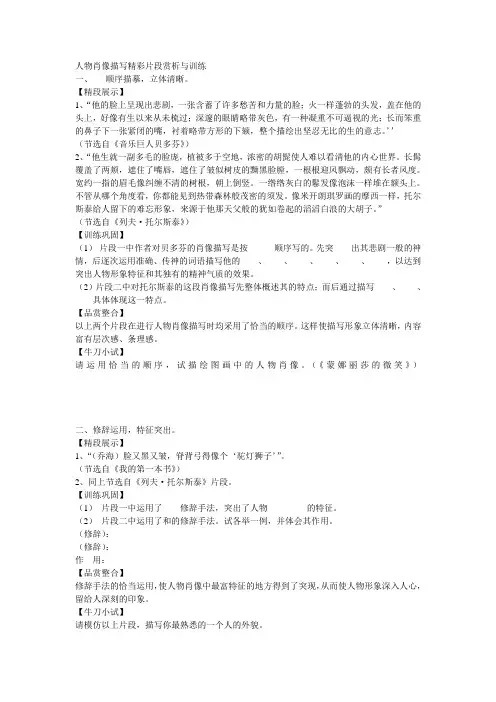 人物肖像描写精彩片段赏析与训练