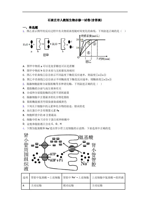 石家庄市人教版生物必修一试卷(含答案)