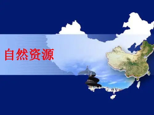 中国的自然资源(19年)