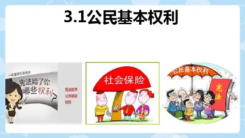 3.1 公民基本权利 课件(38张PPT)