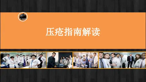 压疮指南解读 PPT