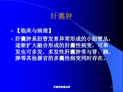 肝囊肿影像诊断PPT课件