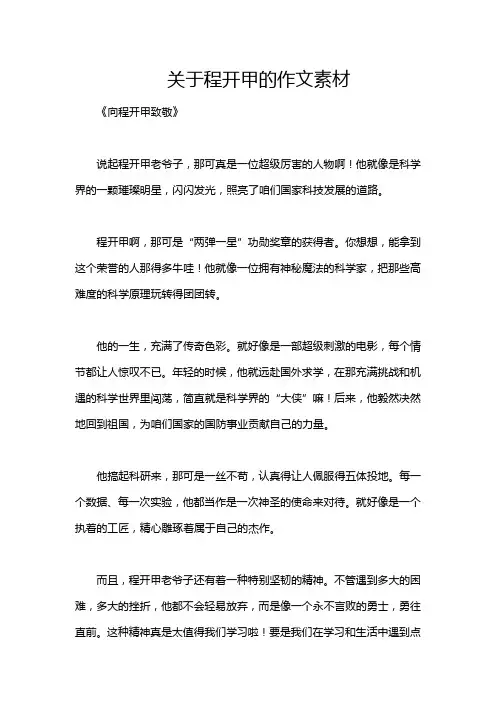 关于程开甲的作文素材