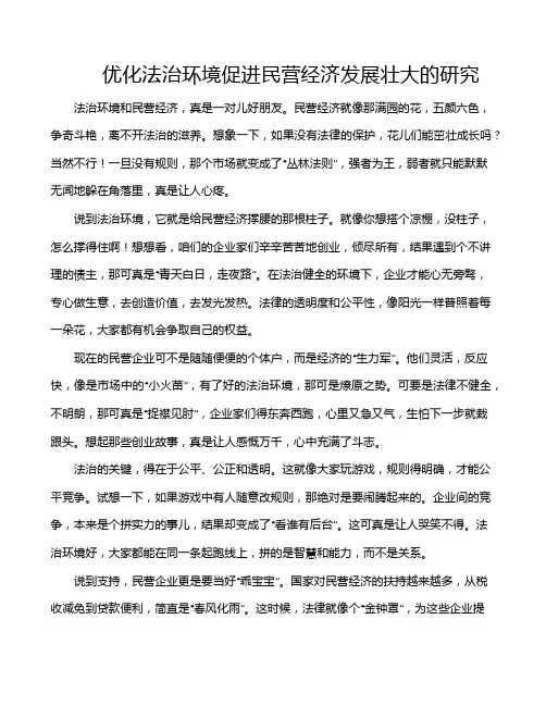 优化法治环境促进民营经济发展壮大的研究