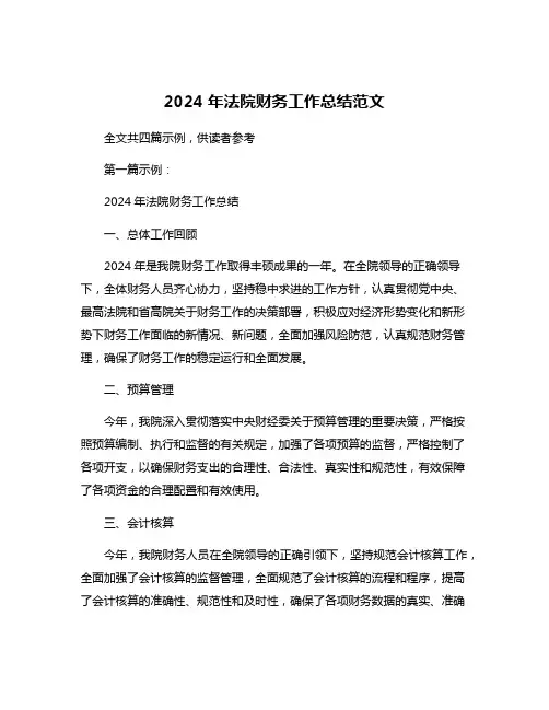2024年法院财务工作总结范文