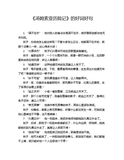 《汤姆索亚历险记》的好词好句
