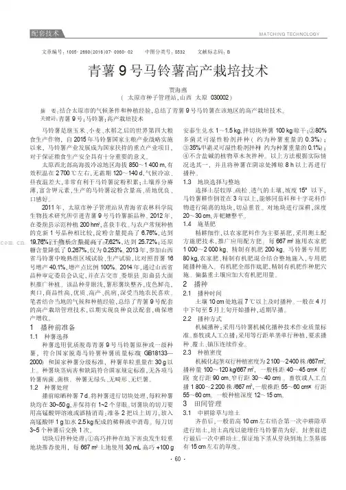 青薯9号马铃薯高产栽培技术