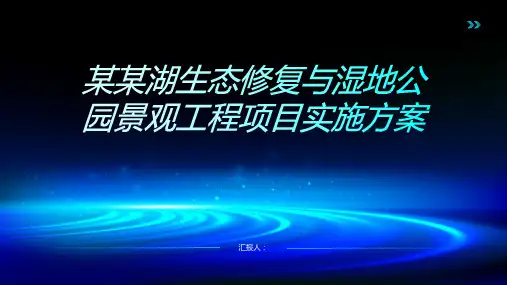 某某湖生态修复与湿地公园景观工程项目实施方案