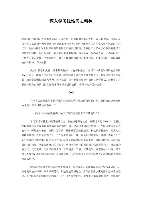 沈浩精神