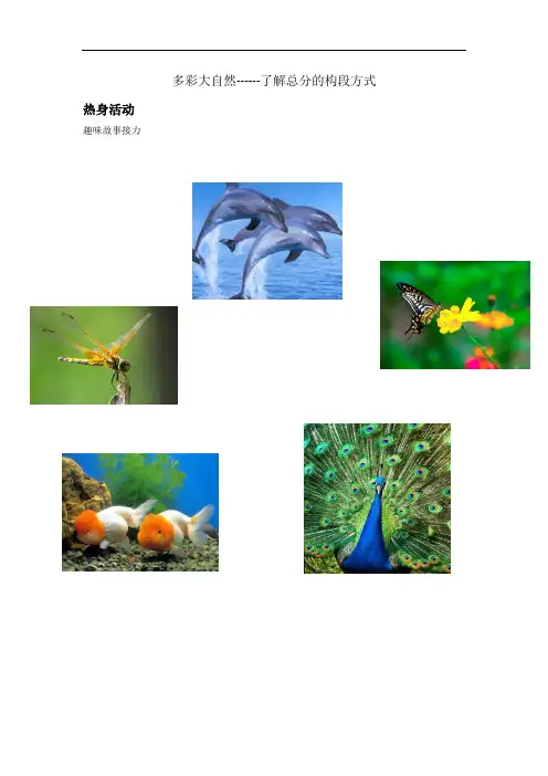 三年级上册语文素材 - 多彩大自然 了解总分结构 全国通用