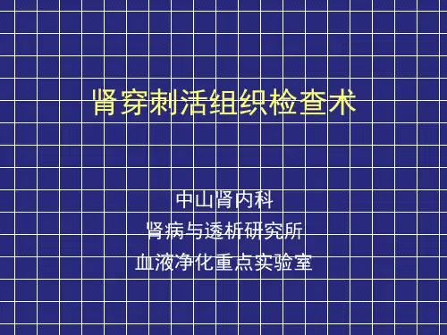 肾活检基本技术操作