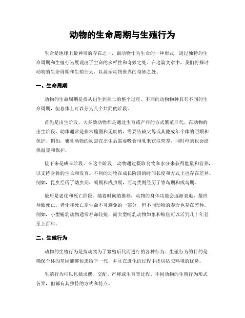 动物的生命周期与生殖行为