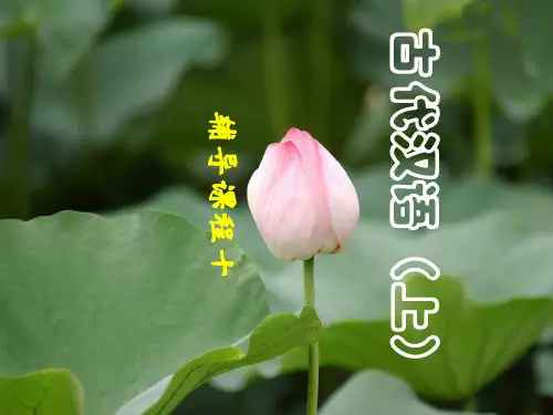 古代汉语(上)10被动句PPT课件