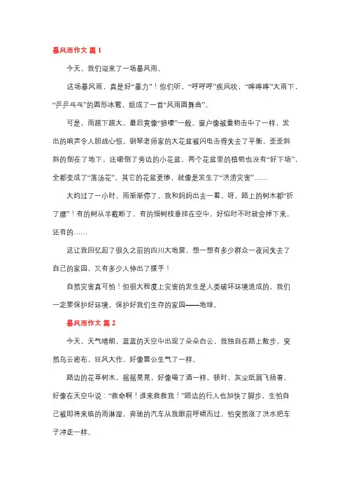 关于暴风雨的作文800字