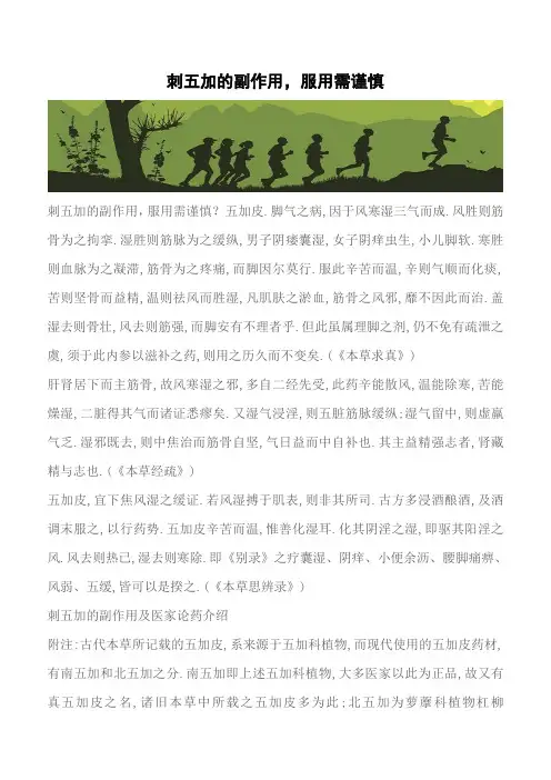 【推荐】刺五加的副作用,服用需谨慎