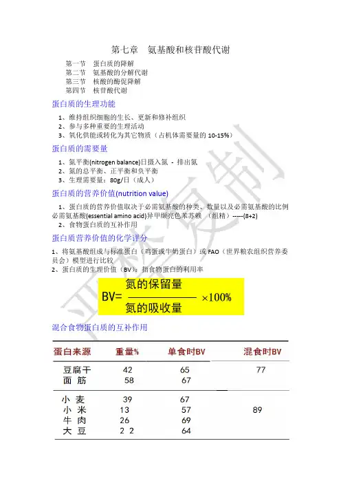 大学动物生物化学氨基酸代谢
